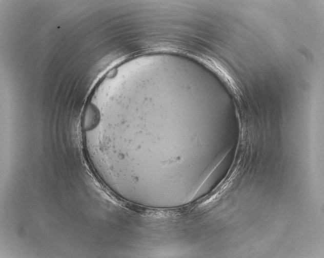 X0000115540806200911201738