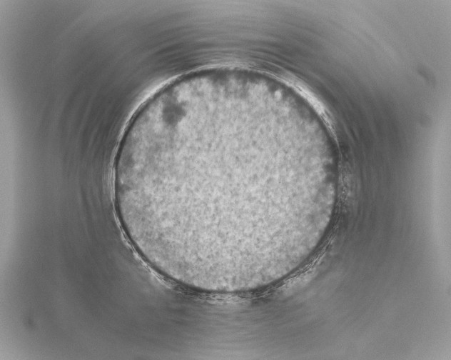 X0000115540807200911201738