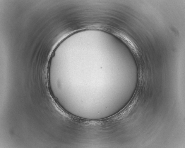 X0000115540808200911201738