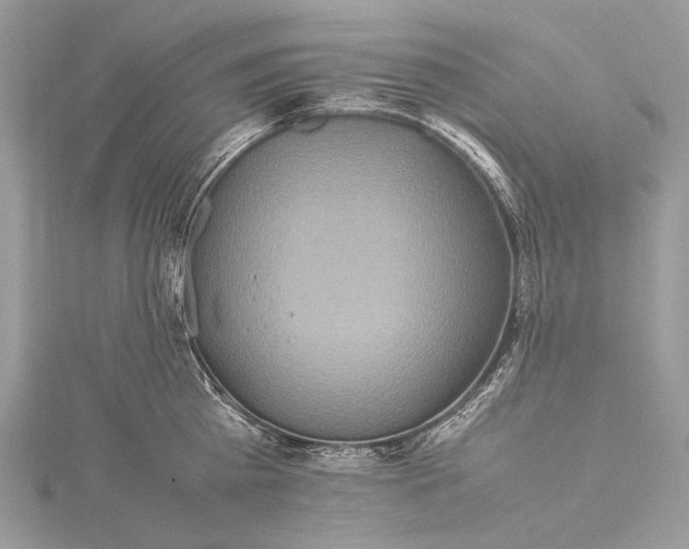 X0000115540809200911201738