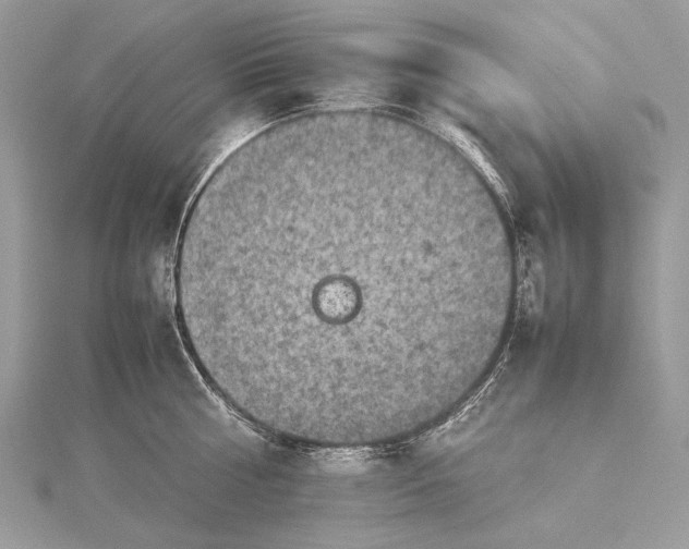 X0000115540810200911201738