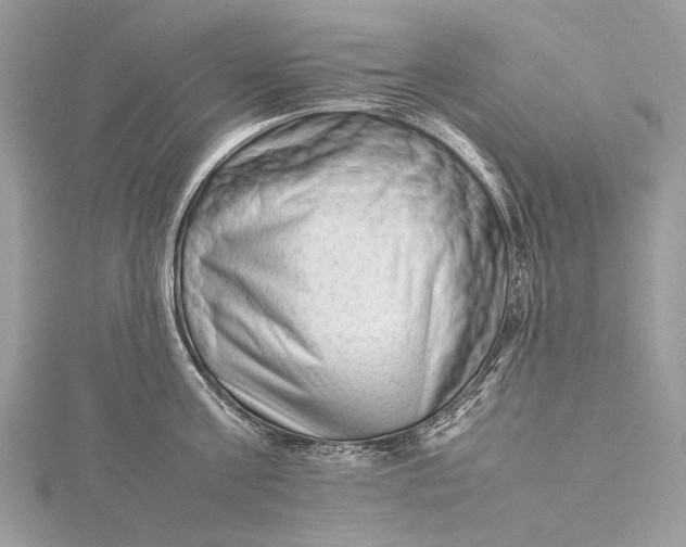 X0000115540811200911201738