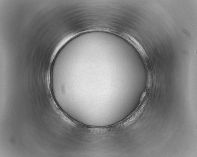 X0000115540812200911201738