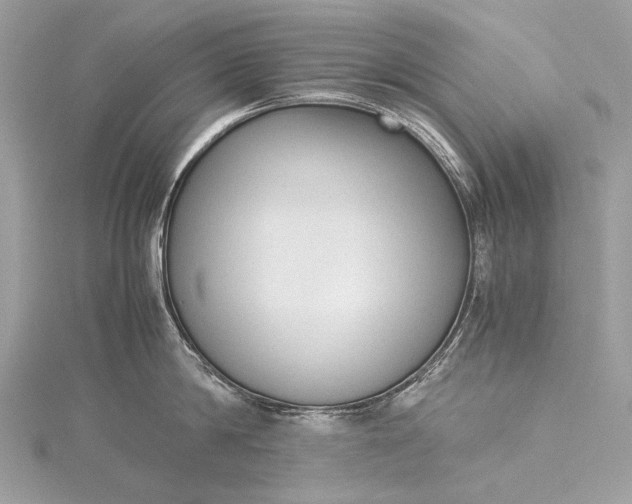 X0000115540814200911201738