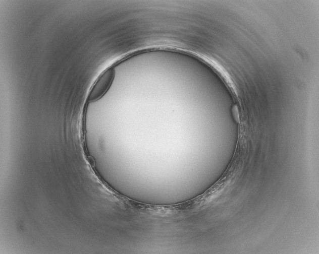 X0000115540815200911201738