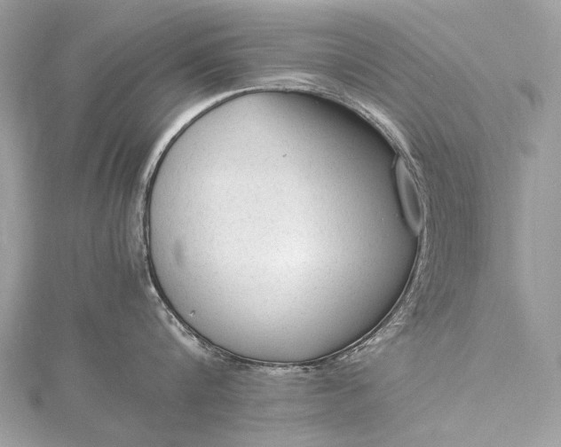 X0000115540816200911201738