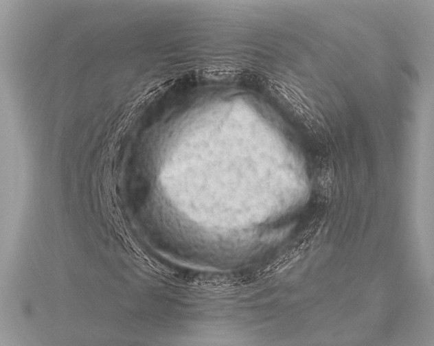 X0000115540817200911201738