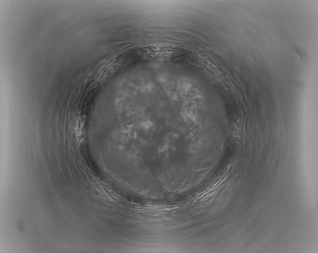 X0000115540818200911201738