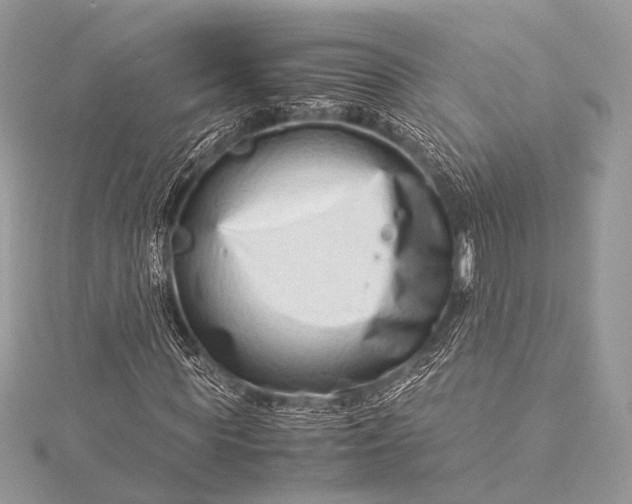 X0000115540819200911201738