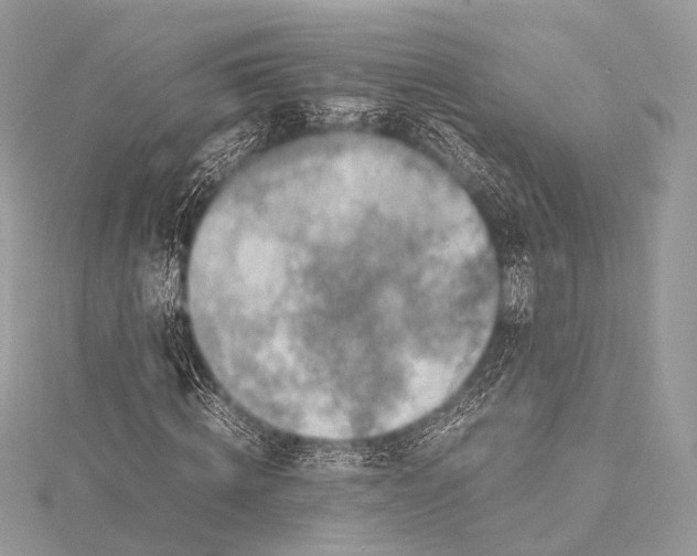 X0000115540820200911201738