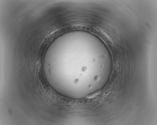 X0000115540821200911201738