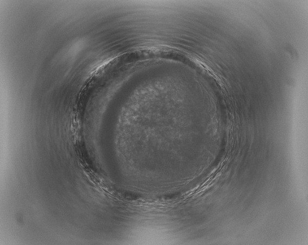 X0000115540822200911201738