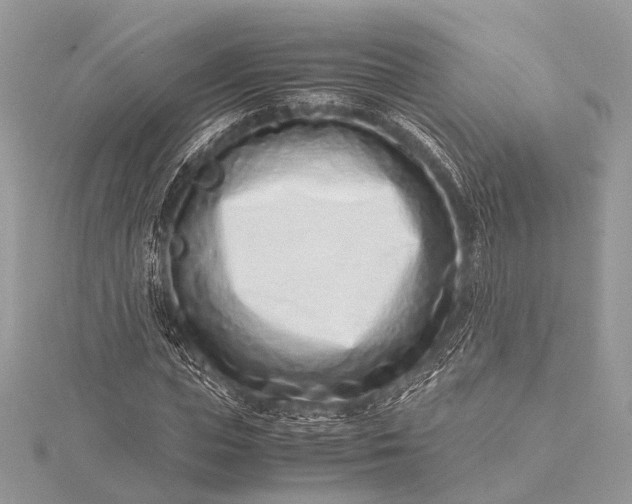 X0000115540823200911201738