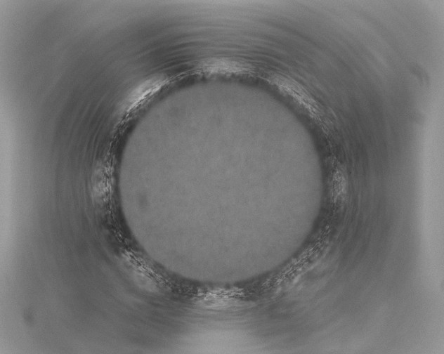 X0000115540824200911201738