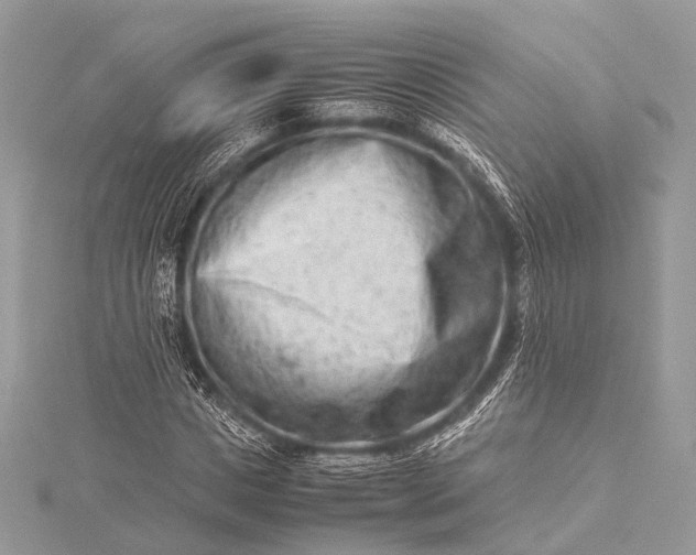 X0000115540825200911201738