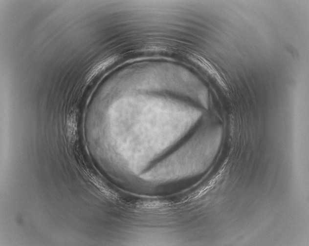 X0000115540826200911201738