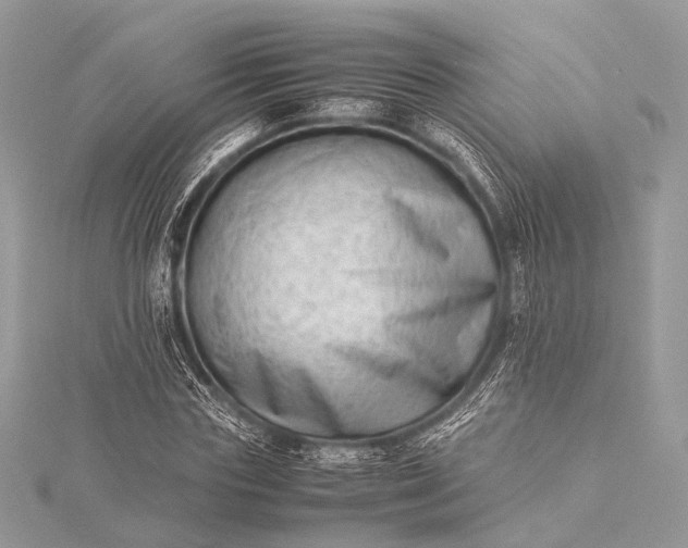 X0000115540827200911201738