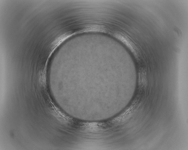 X0000115540828200911201738