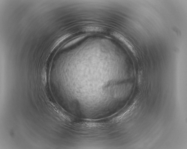 X0000115540829200911201738