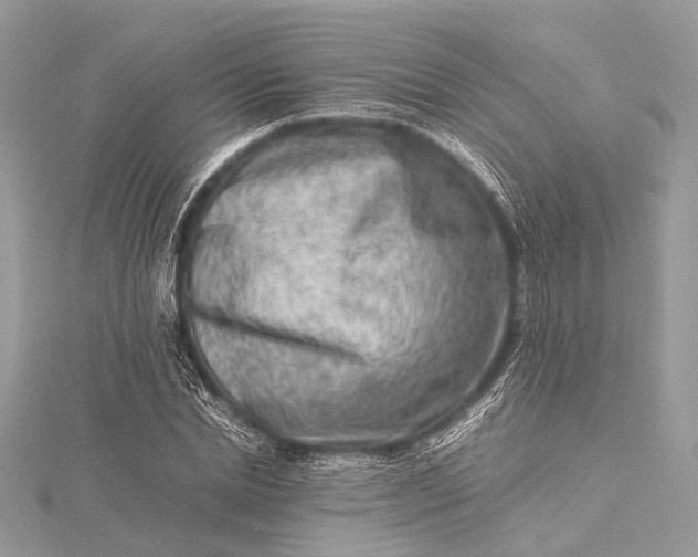 X0000115540830200911201738