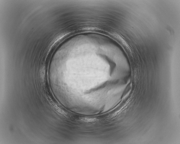 X0000115540831200911201738