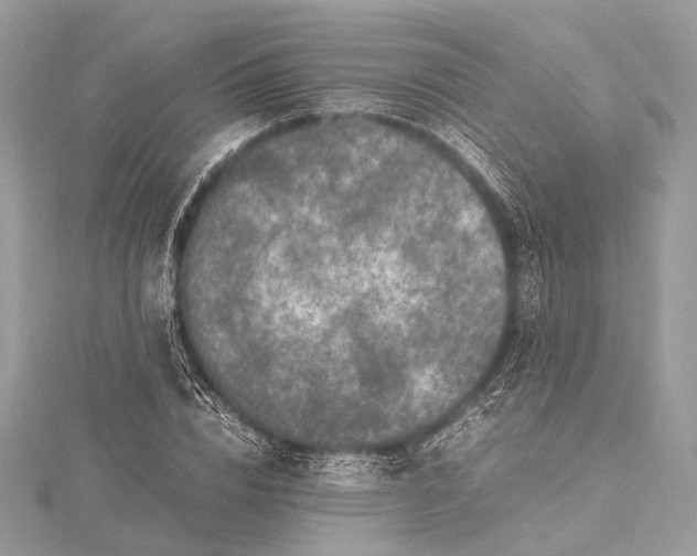 X0000115540832200911201738