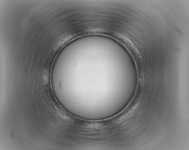 X0000115540833200911201738