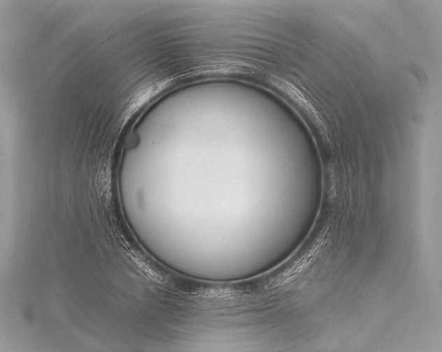 X0000115540834200911201738