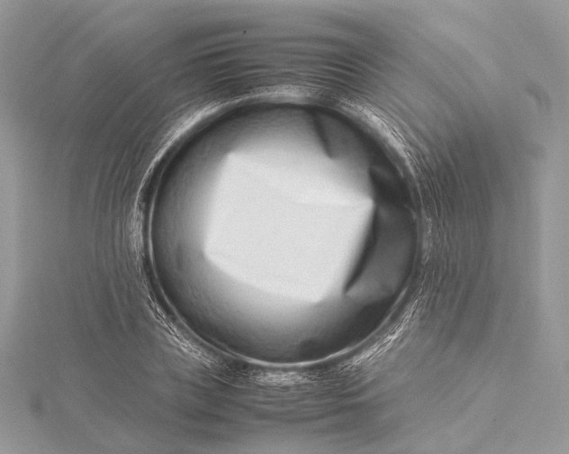 X0000115540835200911201738