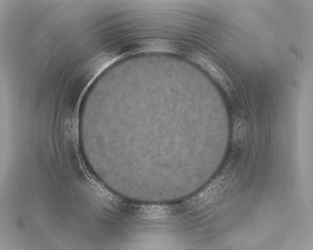 X0000115540836200911201738