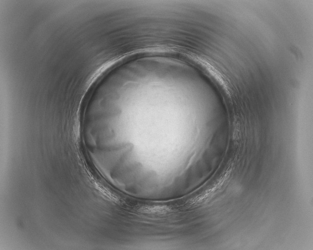 X0000115540837200911201738