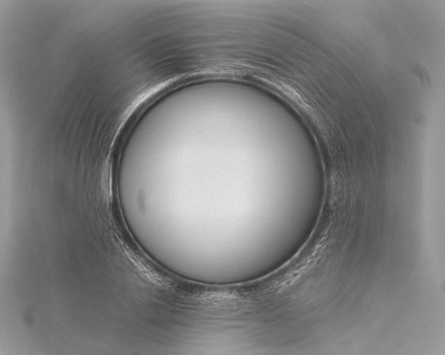 X0000115540838200911201738