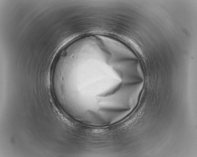 X0000115540839200911201738