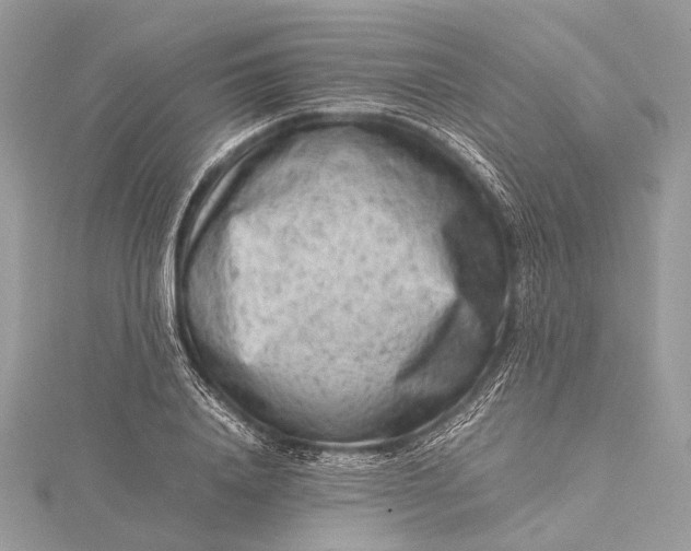 X0000115540840200911201738