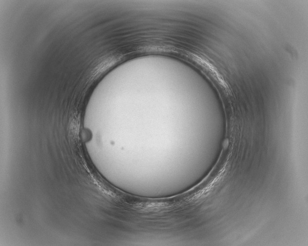 X0000115540841200911201738