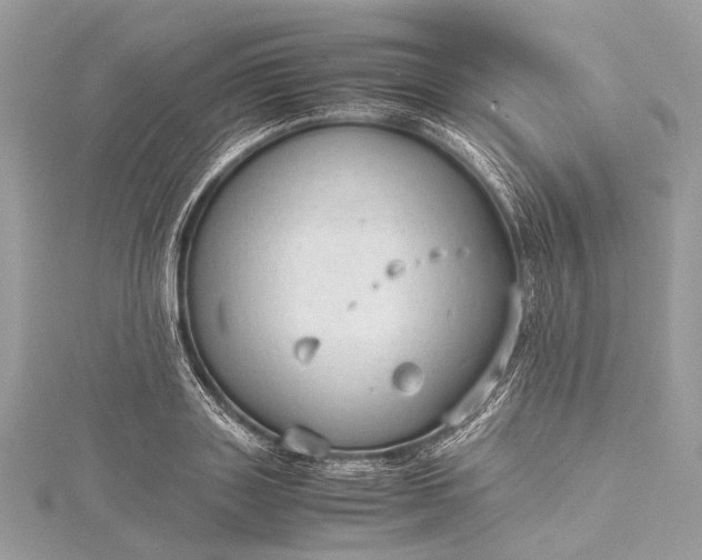 X0000115540843200911201738