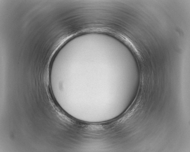 X0000115540844200911201738