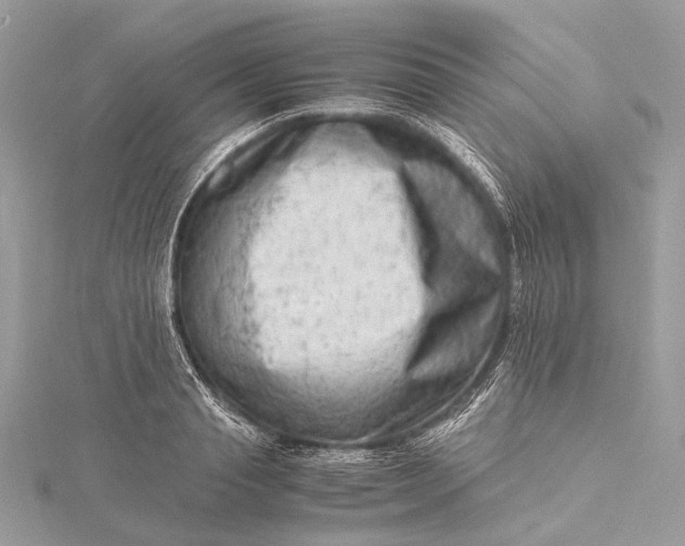 X0000115540845200911201738