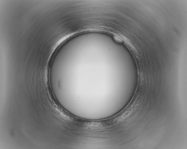 X0000115540846200911201738