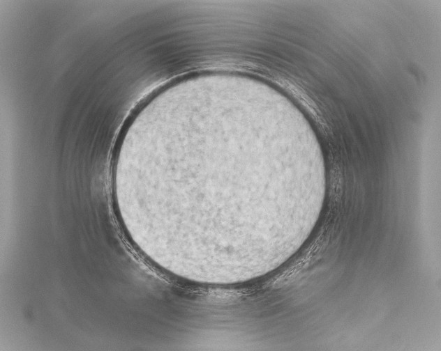 X0000115540848200911201738