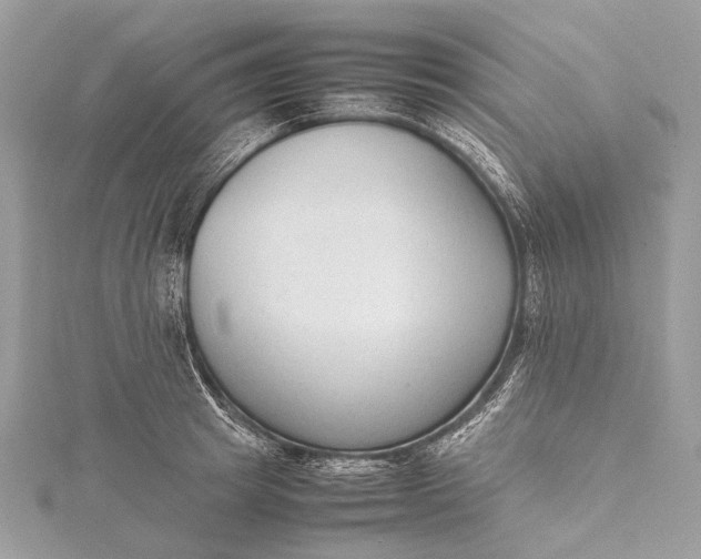 X0000115540849200911201738