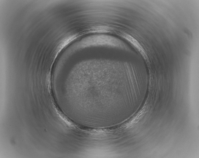 X0000115540850200911201738