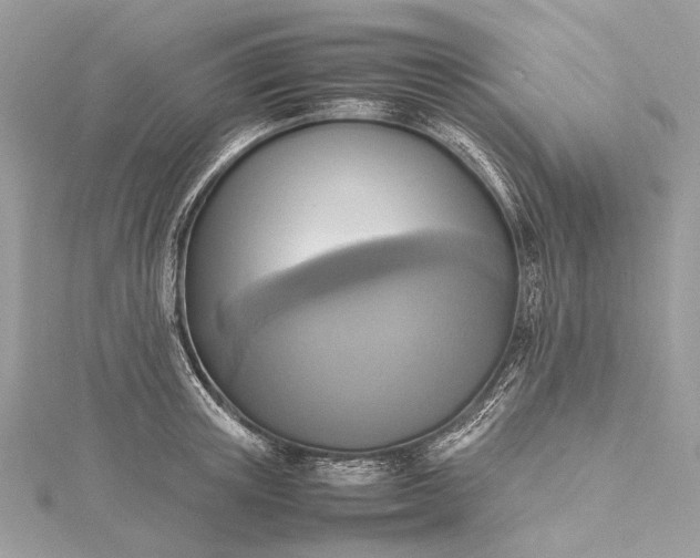 X0000115540851200911201738