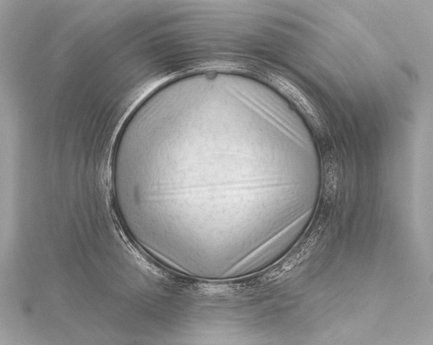 X0000115540852200911201738