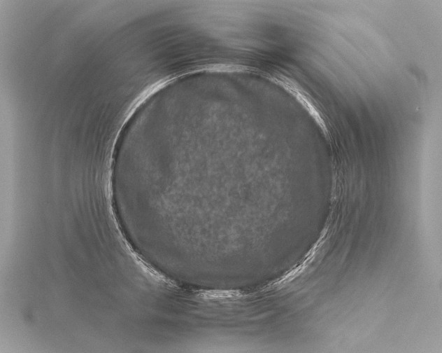 X0000115540853200911201738