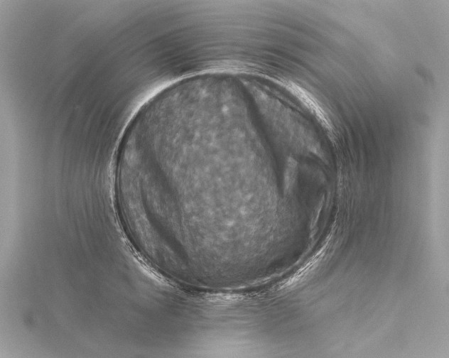 X0000115540854200911201738