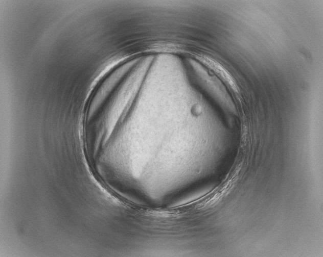 X0000115540855200911201738