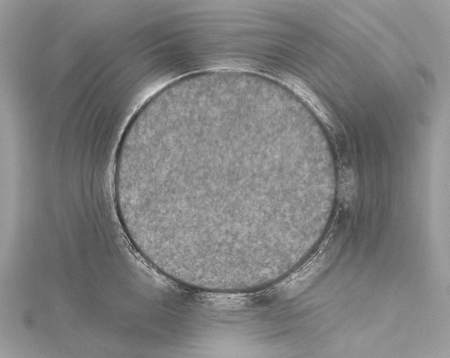 X0000115540856200911201738