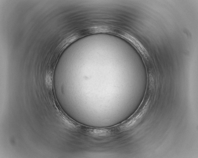 X0000115540857200911201738