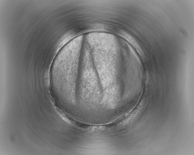 X0000115540858200911201738